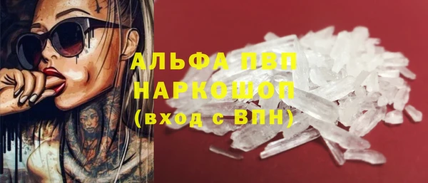 apvp Бородино