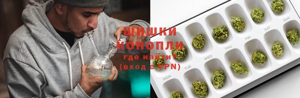 гидра Бронницы