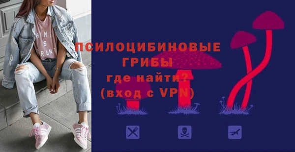 шишки Бугульма