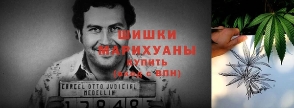 шишки Бугульма