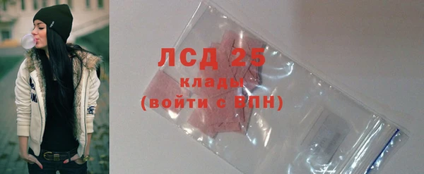 apvp Бородино