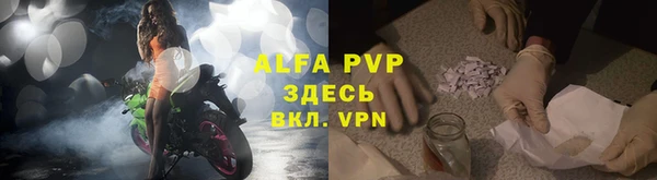 гидра Бронницы
