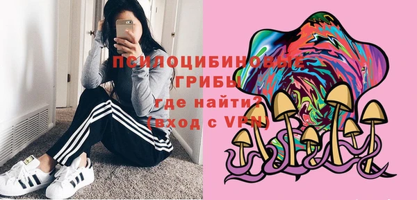 гидра Бронницы