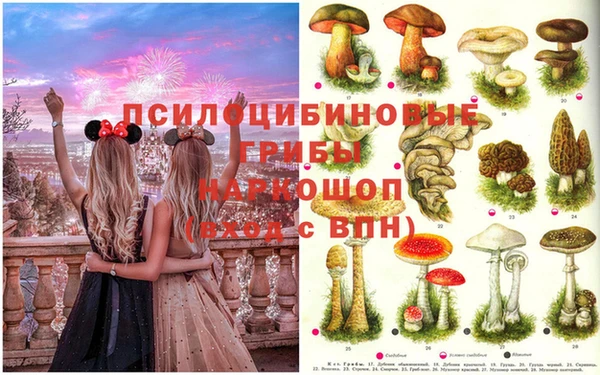 apvp Бородино