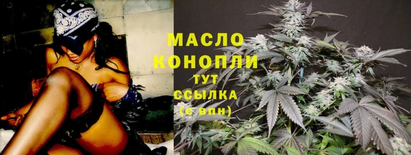 apvp Бородино