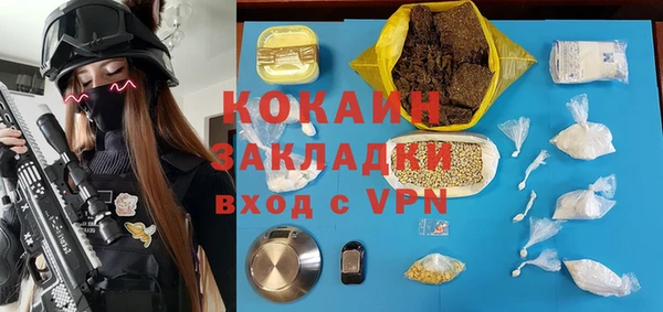 гидра Бронницы