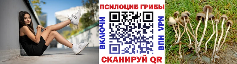 Купить  Уварово  Галлюциногенные грибы Cubensis 